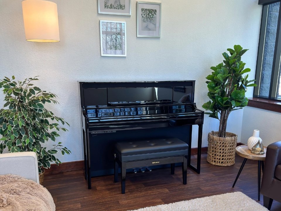 Cận cảnh ROLAND LX-6 PE tại Piano House